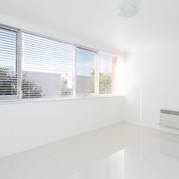 Bright Spacious Apartment Close To Everything! - Photo 1