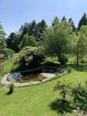 31/2-ROOM APARTMENT IN IPSACH (BE), FURNISHED, TEMPORARY - Photo 4