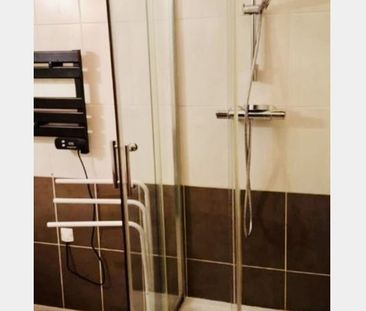 Location Appartement P1 Appartement T1 Meublé rénové(e) Roquemaure - Photo 1