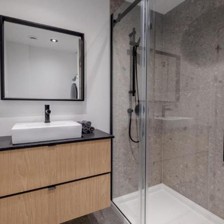 3 ½ entièrement meublé à louer Saint-Jean-Baptiste juillet 2026 - Photo 3