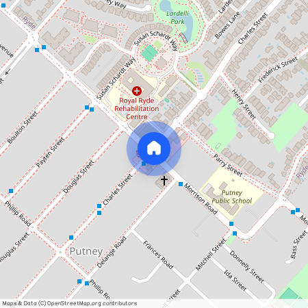 163 Morrison Road, NSW 2112, Putney