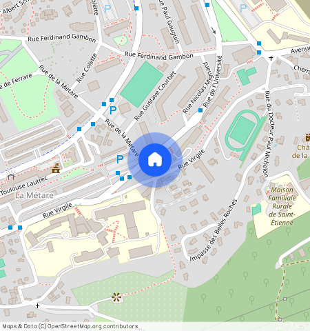 17 RUE DE L'UNIVERSITE, 42000, St Etienne