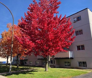 4 1/2, 2ième Étage à $1,545 - Photo 2