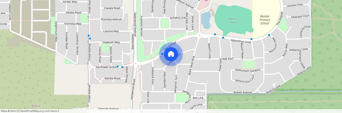 20 Goshawk Pass, WA 6164, Beeliar