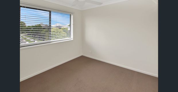 Prime position! - Photo 1