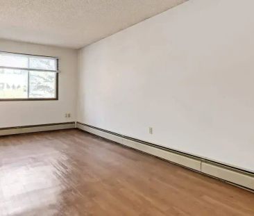 1 Bedroom - Photo 1