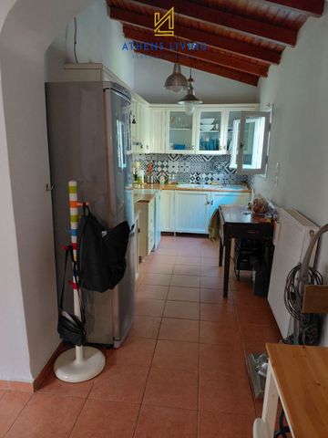 Μονοκατοικία για ενοικίαση Αρτέμιδα (Λούτσα) - Photo 4