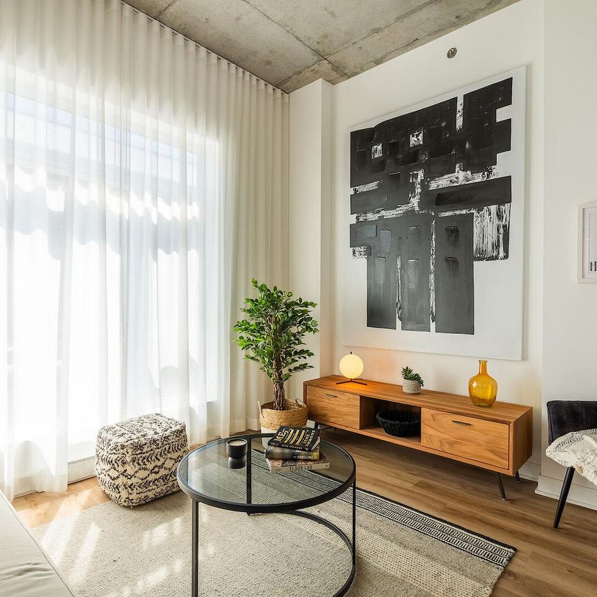 Mostra Maisonneuve apartments for rent in Montreal - Photo 1