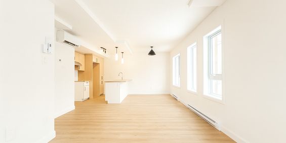 5 1/2 Complètement Neuf à Limoilou - Photo 3