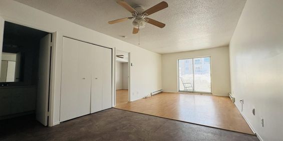 Antoine-du Verdier Appartement 3 ½ à Louer Sainte-Foy / Sillery Juillet 2026 - Photo 3