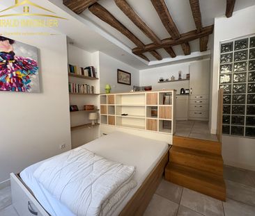 Location Appartement 1 pièce 20m² CHARLIEU 42190 - Photo 4