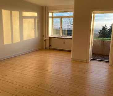 7800, Skive - Photo 1