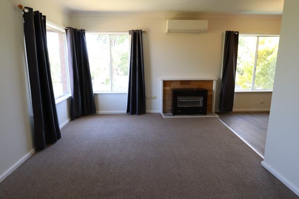 Elevated 3 Bedroom Home- Available 5.1.2026 - Photo 1