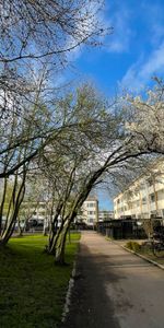 Ringvägen 13 B - Foto 3