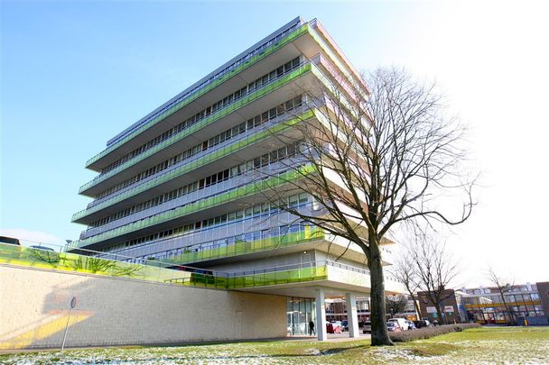 Lengweg 169, 3192BJ Hoogvliet Rotterdam - Photo 1