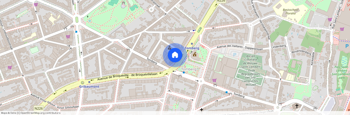 Avenue Paul Hymans, 15, 1200, Woluwe-Saint-Lambert