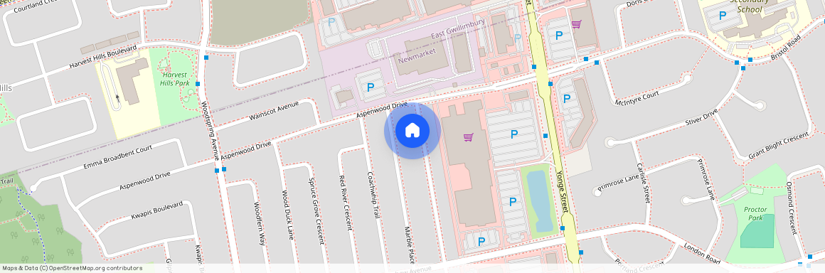 384 FLAGTONE Way #Basement apartment, Newmarket, Woodland Hill