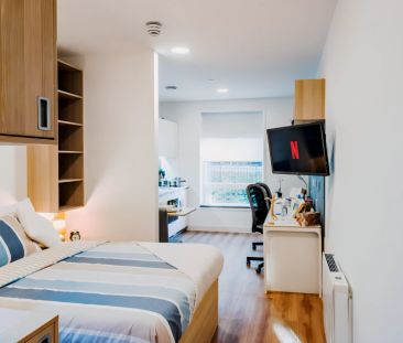 Luxury Studio - Photo 3