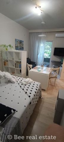 Studio/Γκαρσονιέρα για ενοικίαση Άγιος Νικόλαος (Βόλος) - Φωτογραφία 3