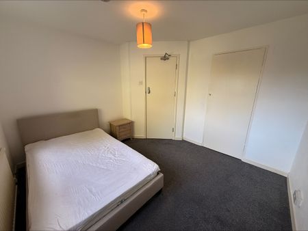 Ladyshot, Harlow - Photo 3