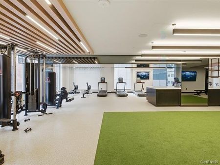1518 Rue Sherbrooke O., #1710 - Photo 4