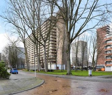 Hendrik Tollensstraat 2624 ZL Delft - Photo 3