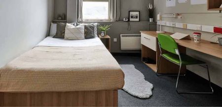 Classic Shared Apartment - Photo 5