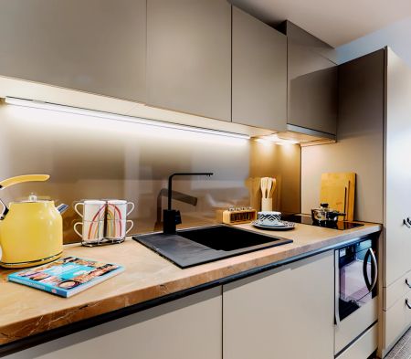 Silver Studio - Mid Level - Photo 5