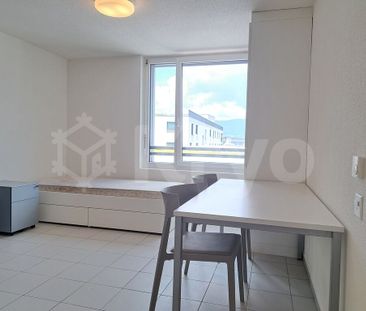 N206 – HALDIMAND 55, 1.5 room furnished studio in the city center - Photo 3