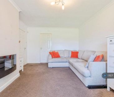 3 bedroom terraced house to rent - Photo 2