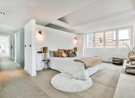 Tweede Jacob van Campenstraat E | One Bedroom - Foto 5