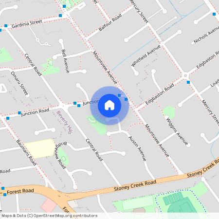 41A Junction Road, NSW 2209, Beverly Hills