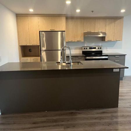 1 CH - 1 SDB - Terrebonne - $1,615 /mo - Photo 3