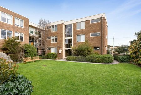 GROUND LEVEL APARTMENT WITH HUGE COURTYARD - Photo 4