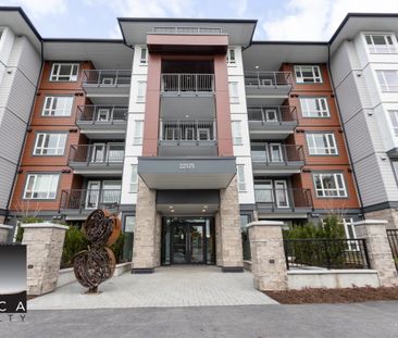 302-22575 Brown Avenue, Maple Ridge - Photo 2