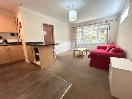 Bournemouth Hilton Grange 20 Knyveton Road, BH1, Dorset - Photo 2
