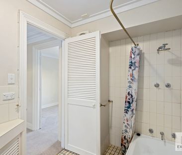 Pet Friendly Inner City Living at its best!!! - Photo 3