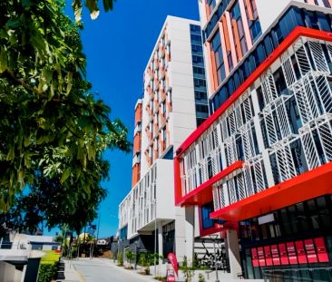 Studio Twin Share-Twin Bunk Studio - Photo 4