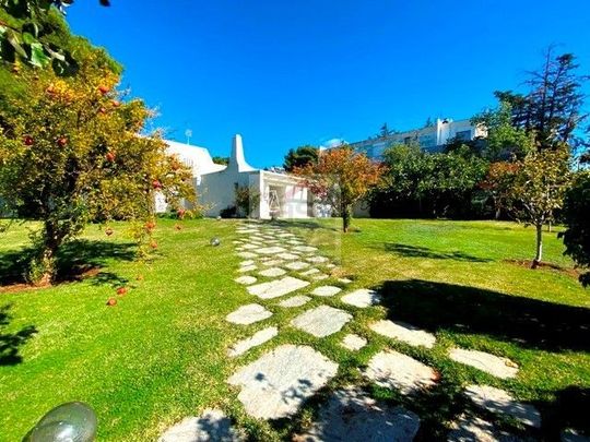 Μονοκατοικία για ενοικίαση Πολιτεία (Κηφισιά) - Photo 1