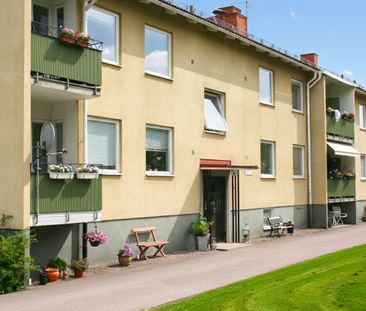 Avesta Hede: Tvåa i markplan - Foto 6