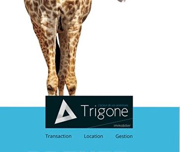 Location Appartement 3 pièces 72m² - Photo 3