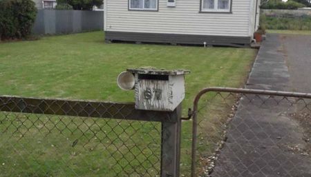 Lovely two bedroom home in Manaia - Photo 4