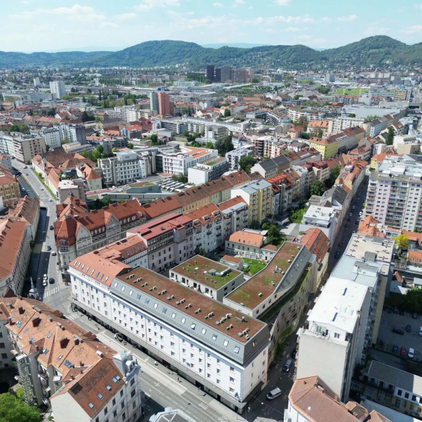 Idyllisches Stadtleben - Moderne Neubauwohnungen in Bestlage - Foto 1