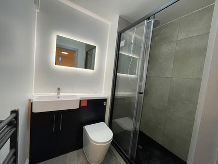 Studio Flat, Spencer Mews, W6 - Photo 4