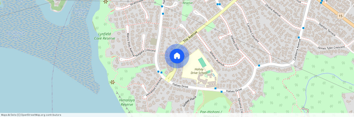 100 The Avenue, Lynfield, Auckland City