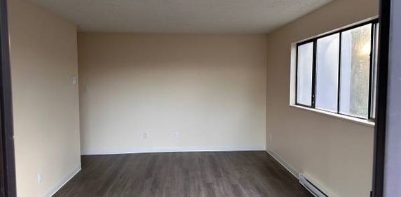 1-Bedroom Fully Renovated close to SkyTrain (Lougheed) - Photo 2