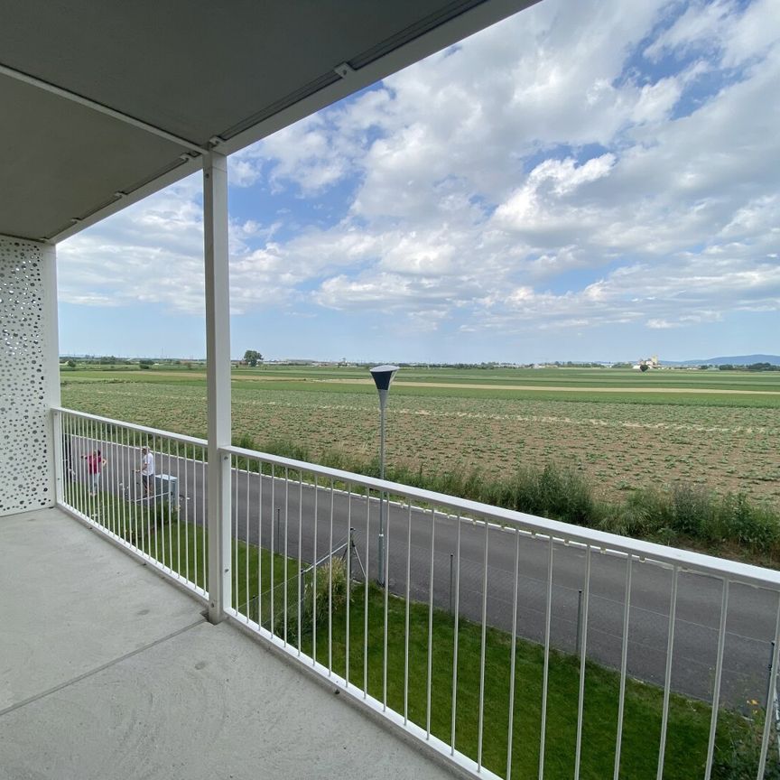 Lebensqualität im Grünen: Moderne Mietwohnungen mit Top-Ausstattung - Photo 1