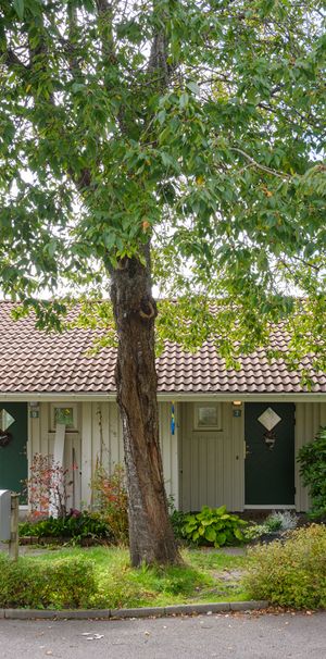 Ölslanda Gärde 1 - Photo 1