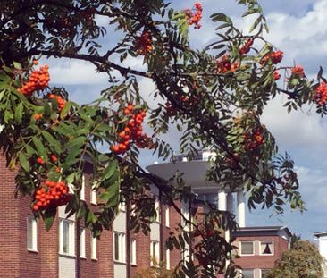 Trollbackevägen 20 - Foto 3