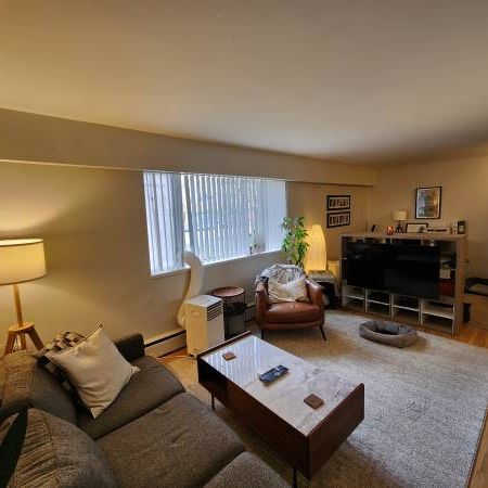 Pet Friendly Spacious Bright 1 bedroom available Nov 1! - Photo 4